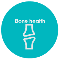 Knochen Gesundheit