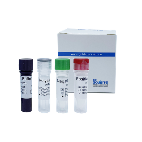 Affenpockenvirus(MPXV)-PCR-Kit